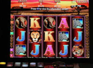 ledong网页版入口电脑免费版