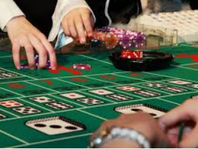 ledong网页版入口最新版